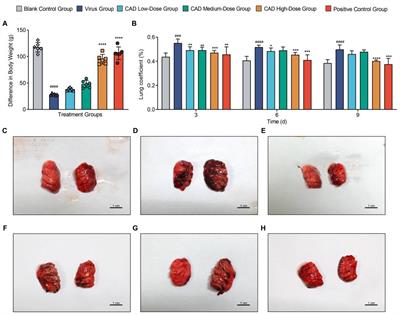 Cecropin AD reduces viral load and inflammatory response against H9N2 avian influenza virus in chickens